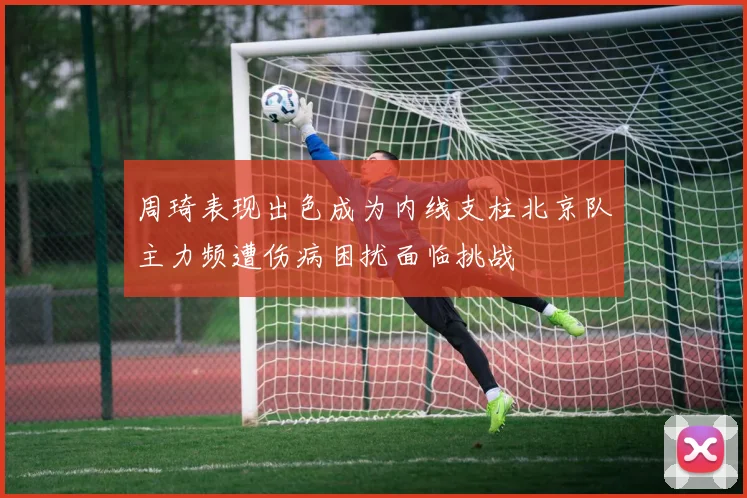 周琦表现出色成为内线支柱北京队主力频遭伤病困扰面临挑战