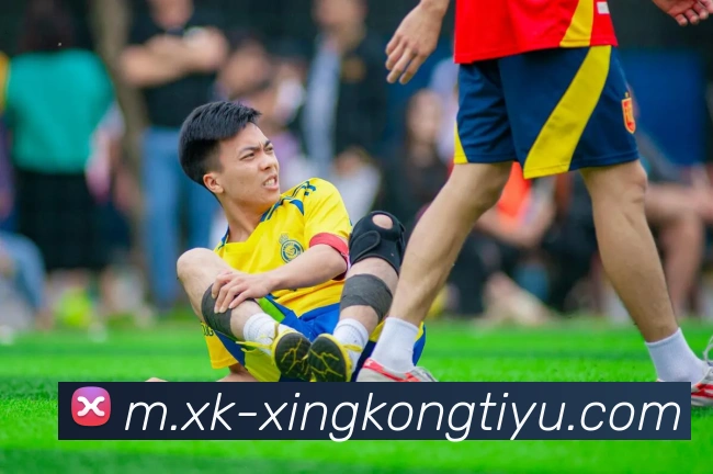 App Interface Preview