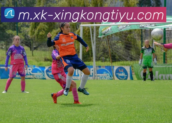 星空体育APP 封面图